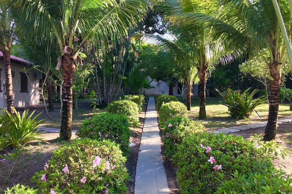 المظهر الخارجي