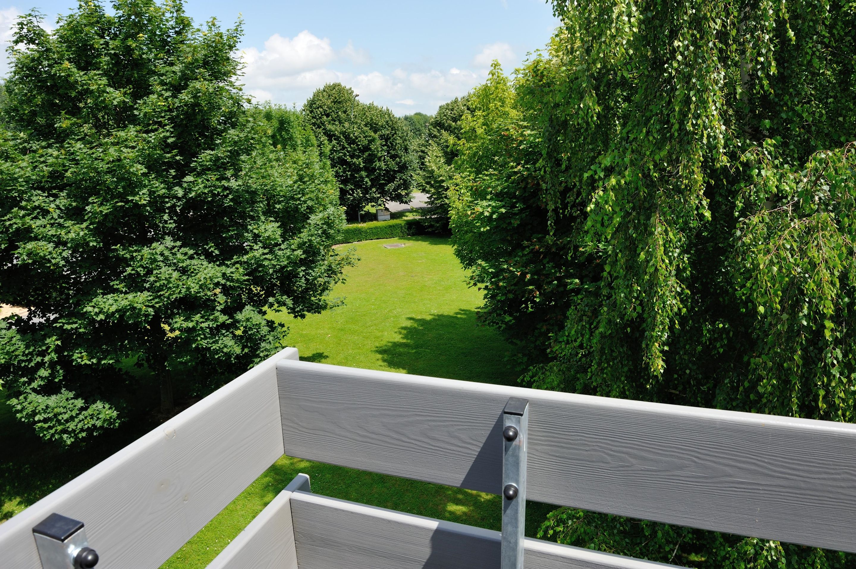 المظهر الخارجي