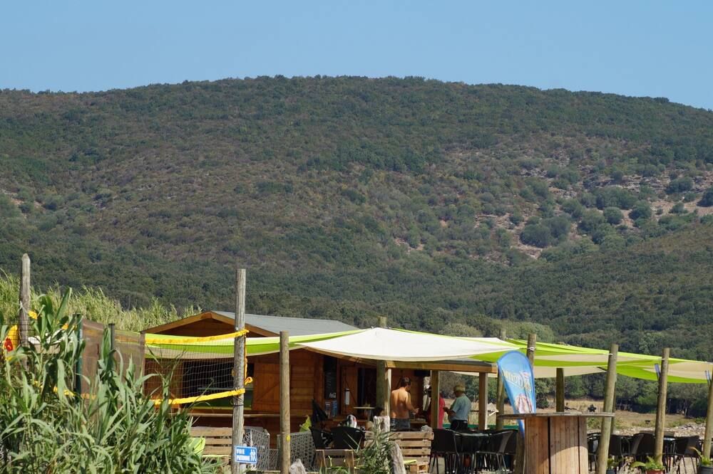 المظهر الخارجي