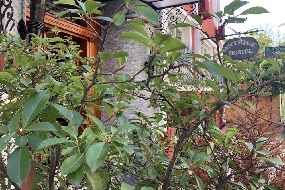 المظهر الخارجي