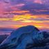 آخر