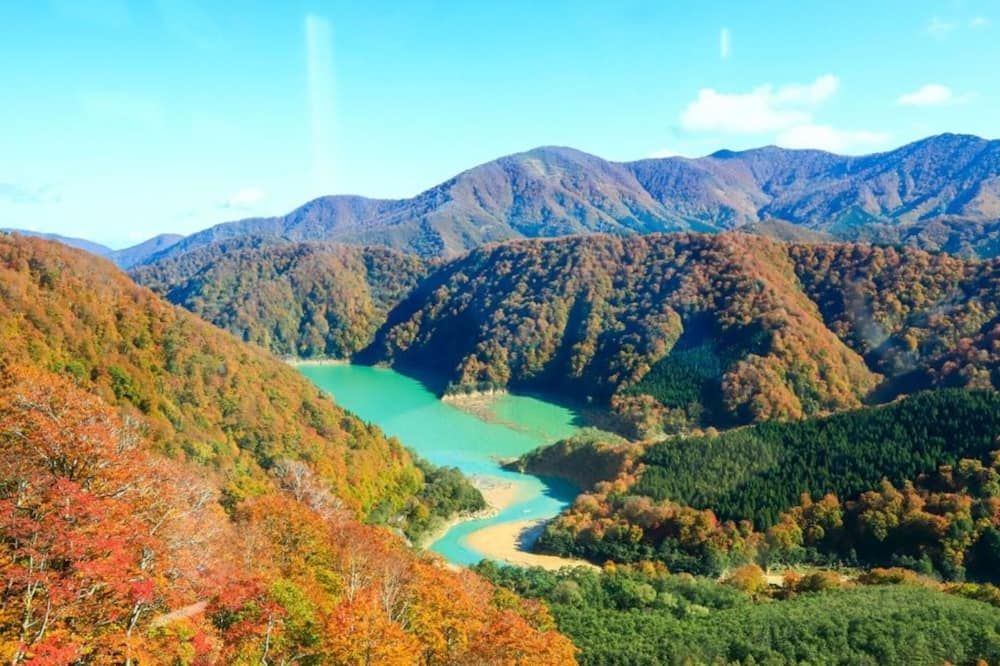 المظهر الخارجي