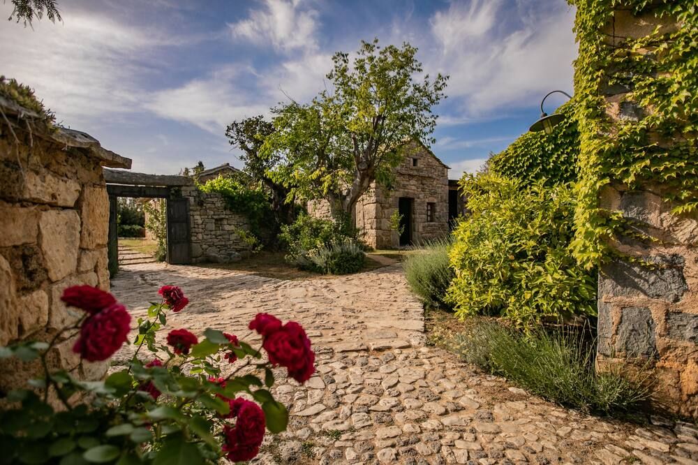 المظهر الخارجي