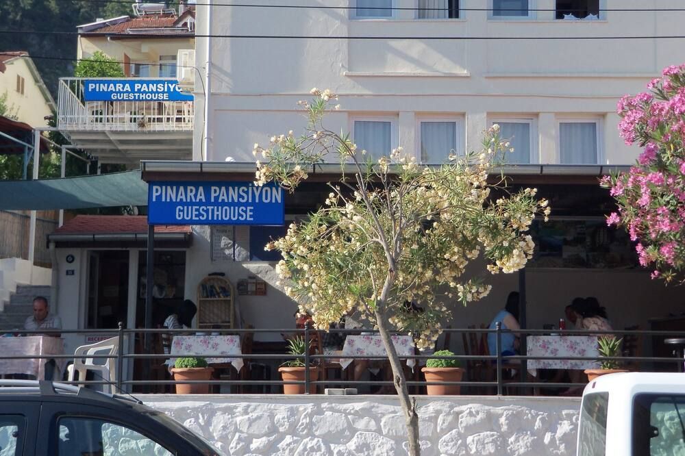 المظهر الخارجي