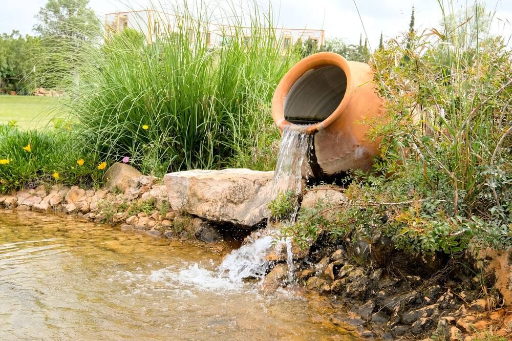 المظهر الخارجي