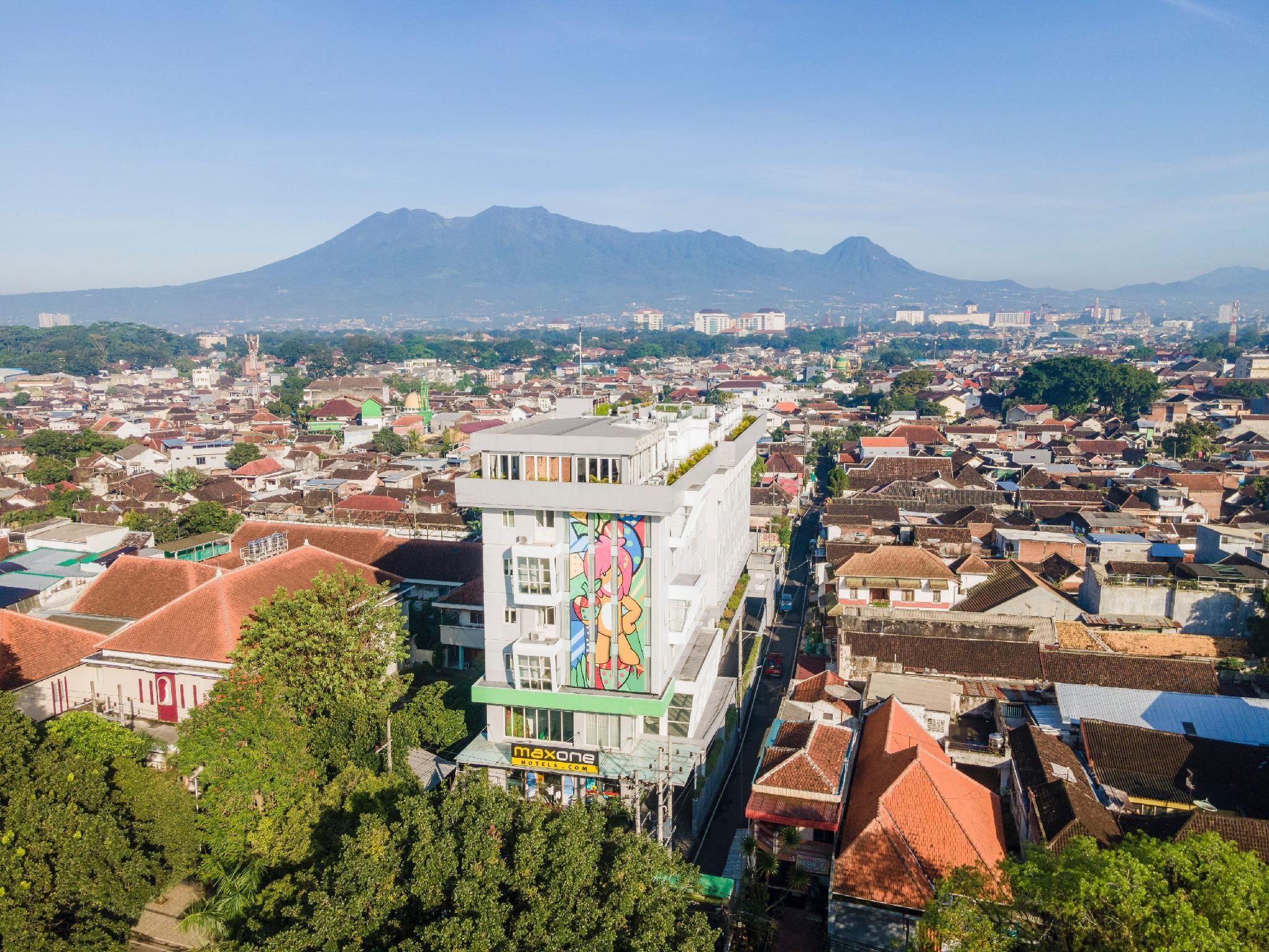 المظهر الخارجي