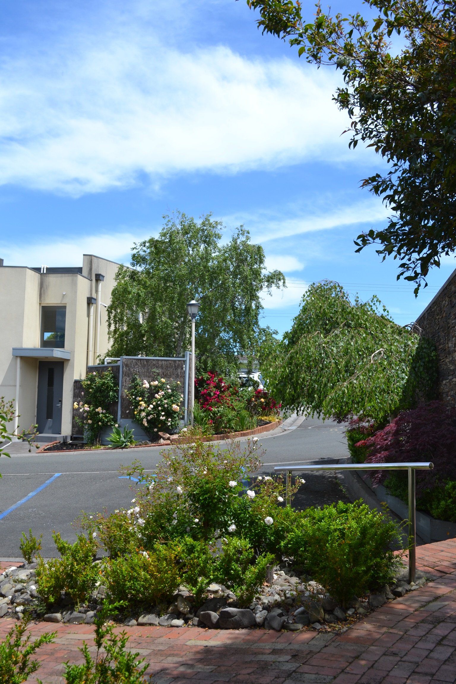 المظهر الخارجي