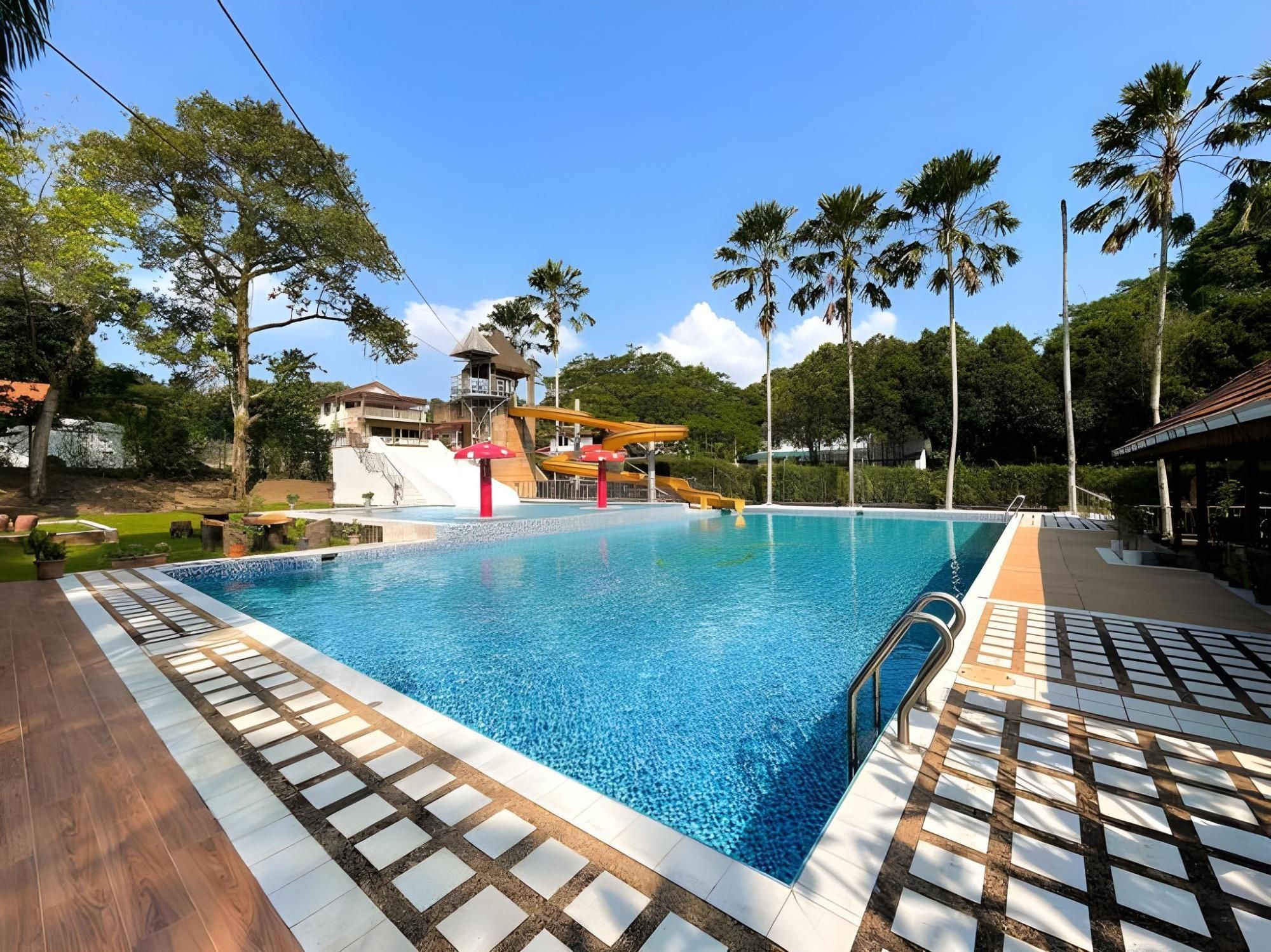 حوض السباحة