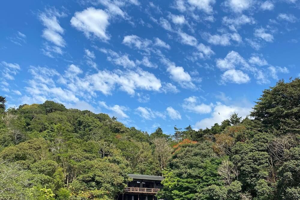 المظهر الخارجي