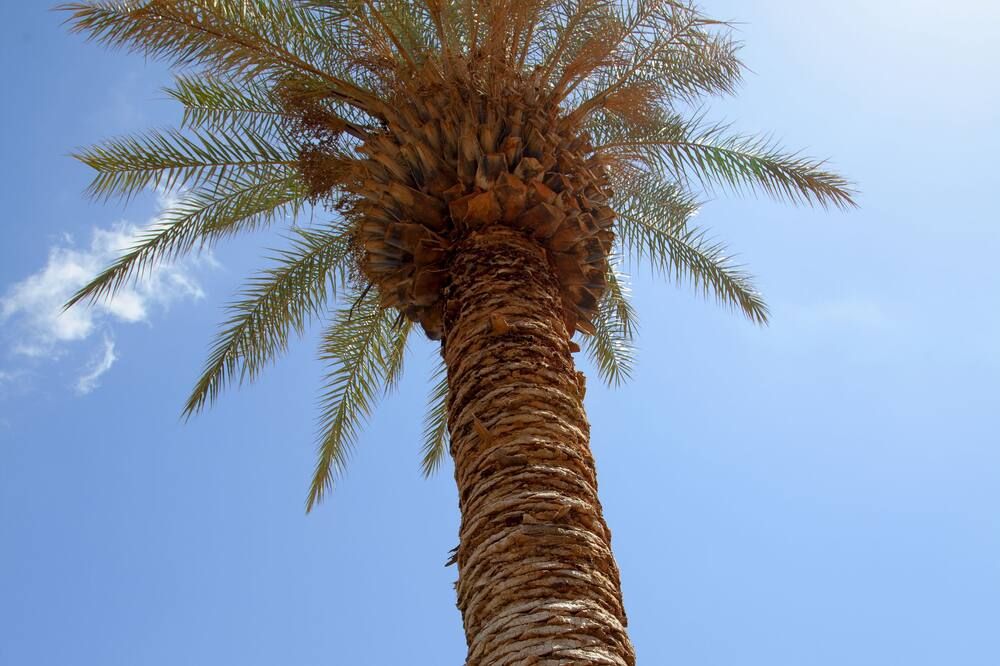 مبنى