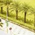 المظهر الخارجي