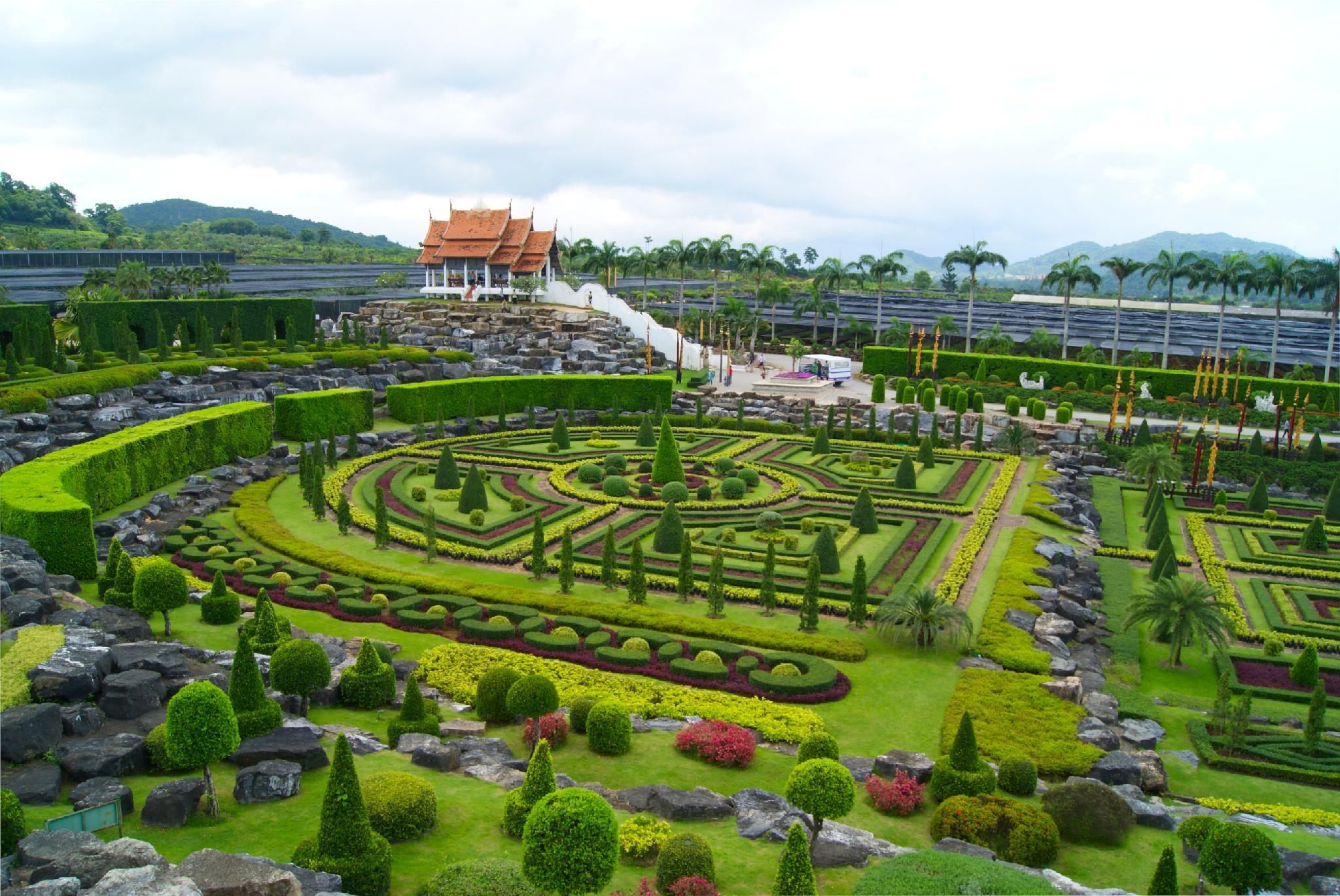 المظهر الخارجي