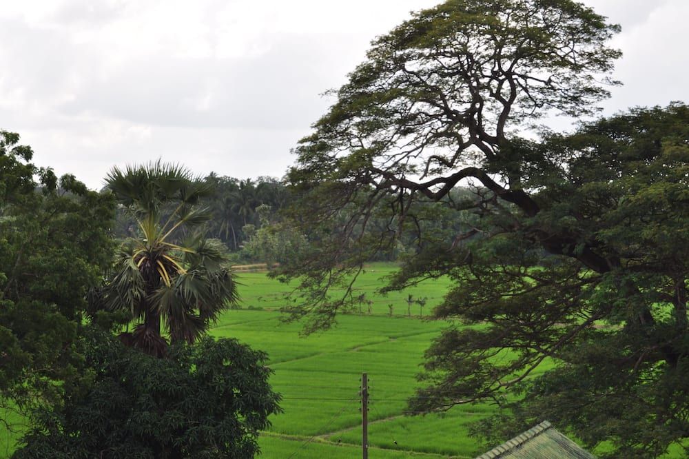 المظهر الخارجي
