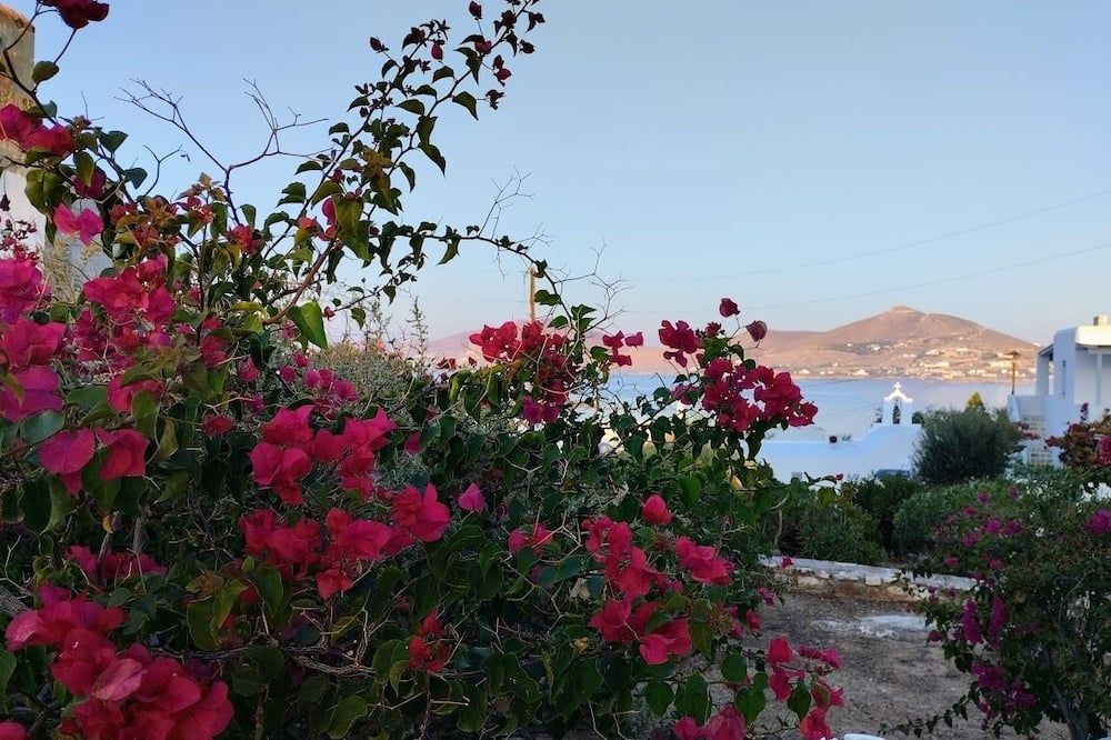المظهر الخارجي