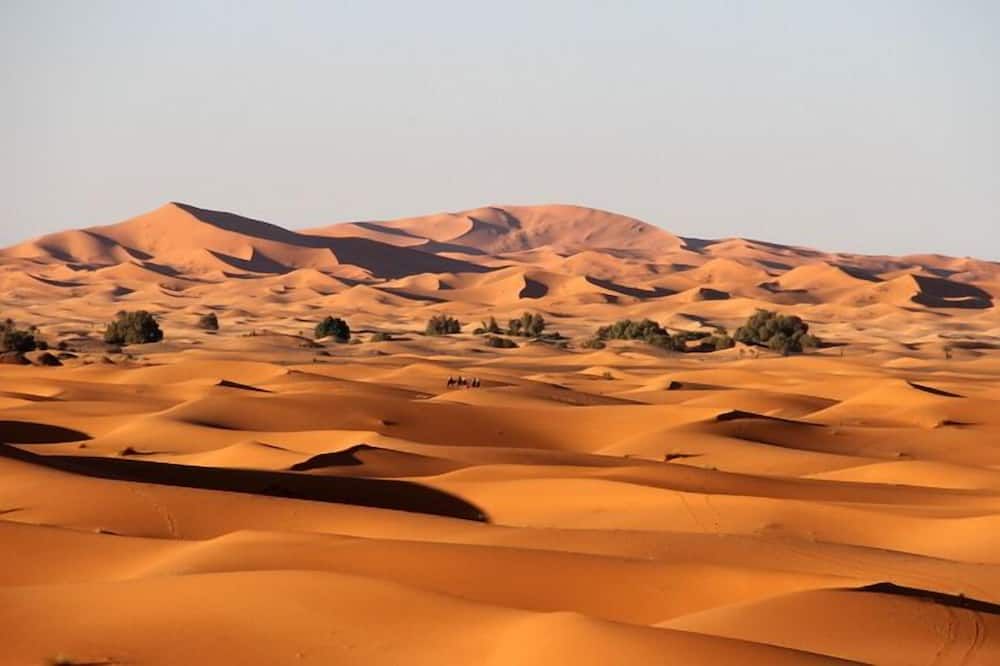 المظهر الخارجي