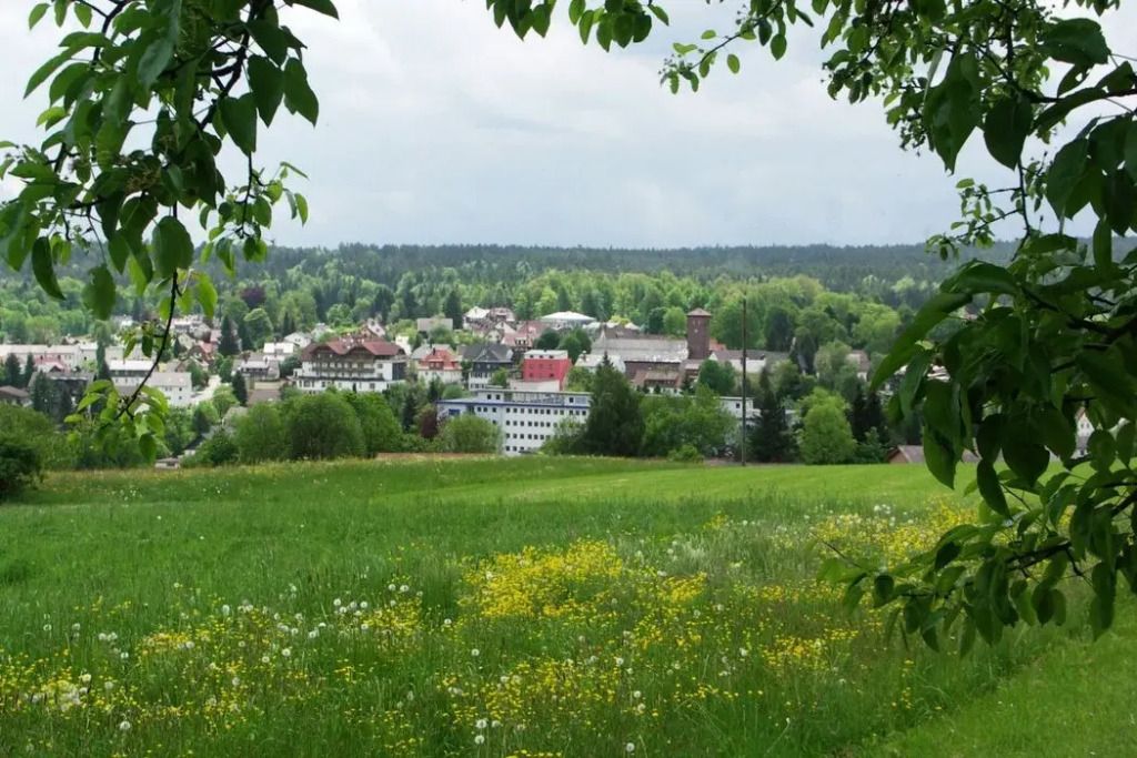 المظهر الخارجي