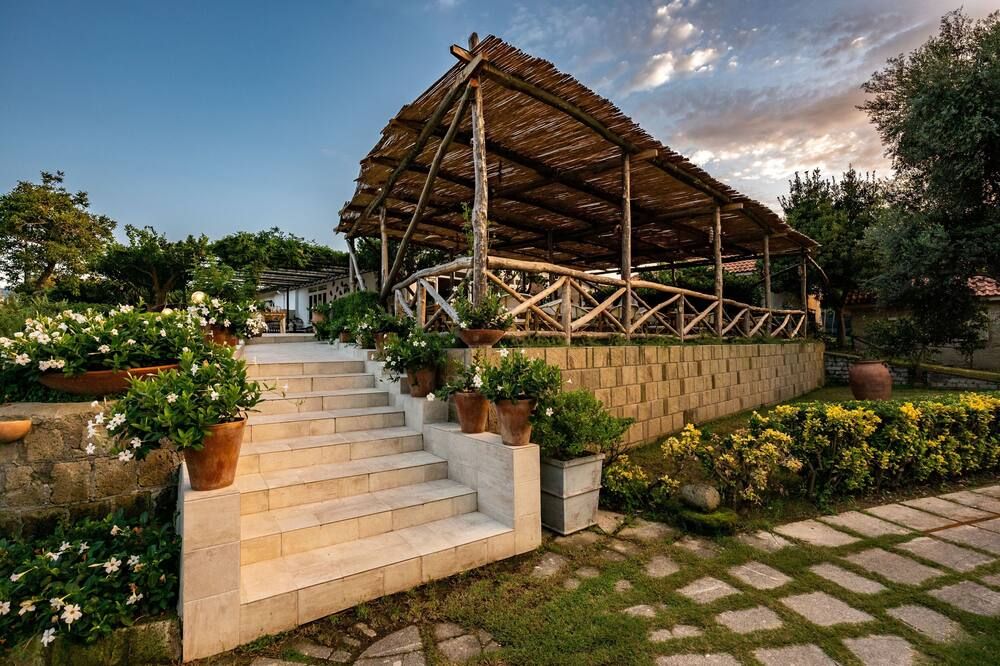 المظهر الخارجي