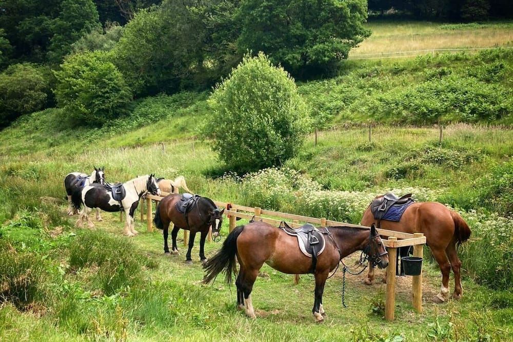 آخر