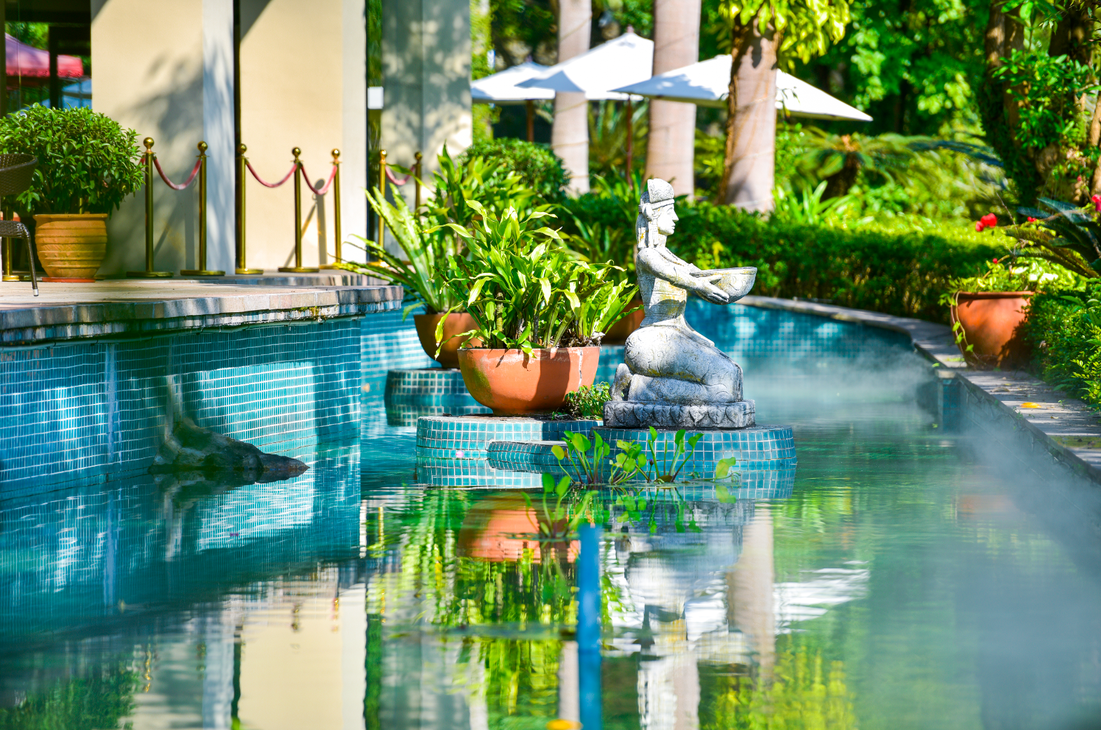 حوض السباحة