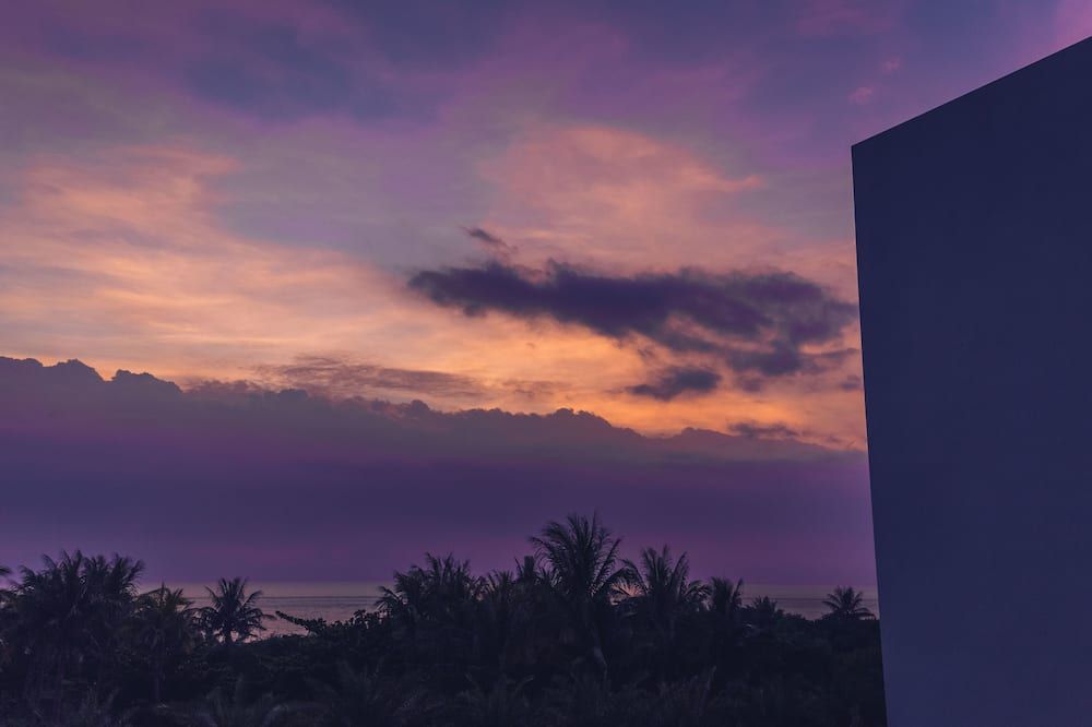 المظهر الخارجي