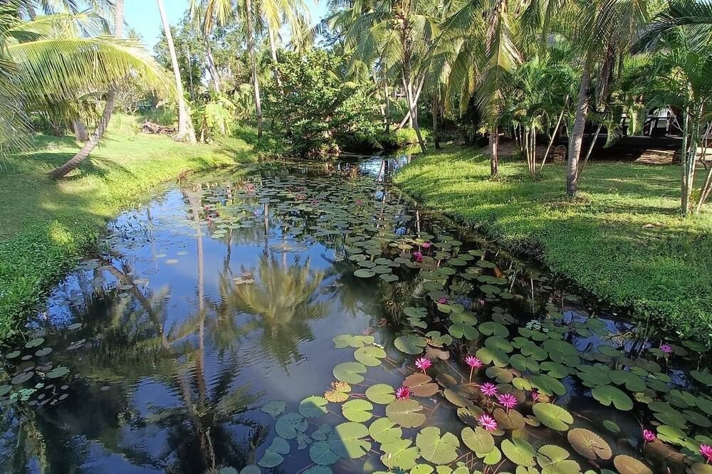 المظهر الخارجي