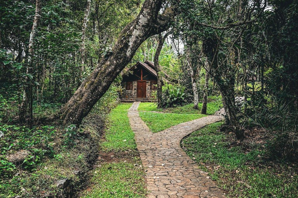 المظهر الخارجي