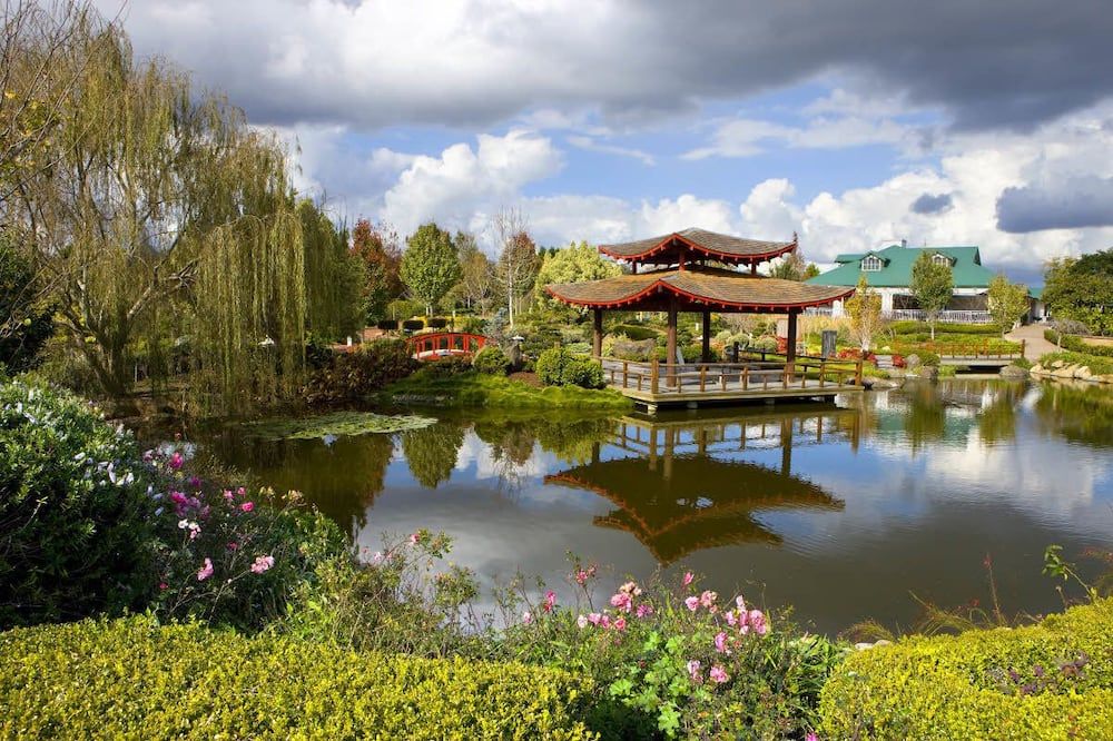 المظهر الخارجي