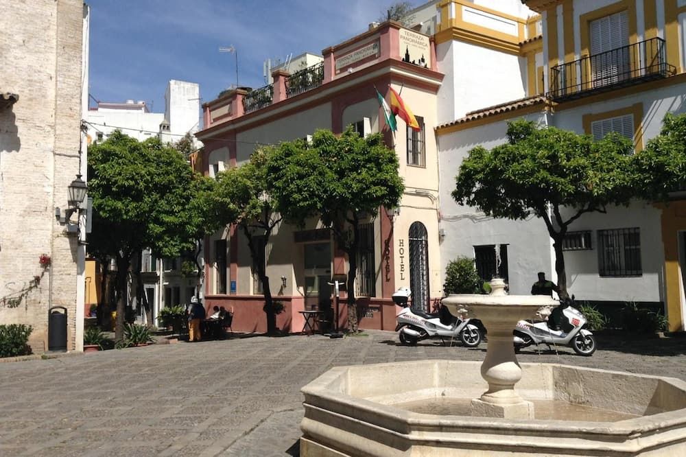 المظهر الخارجي