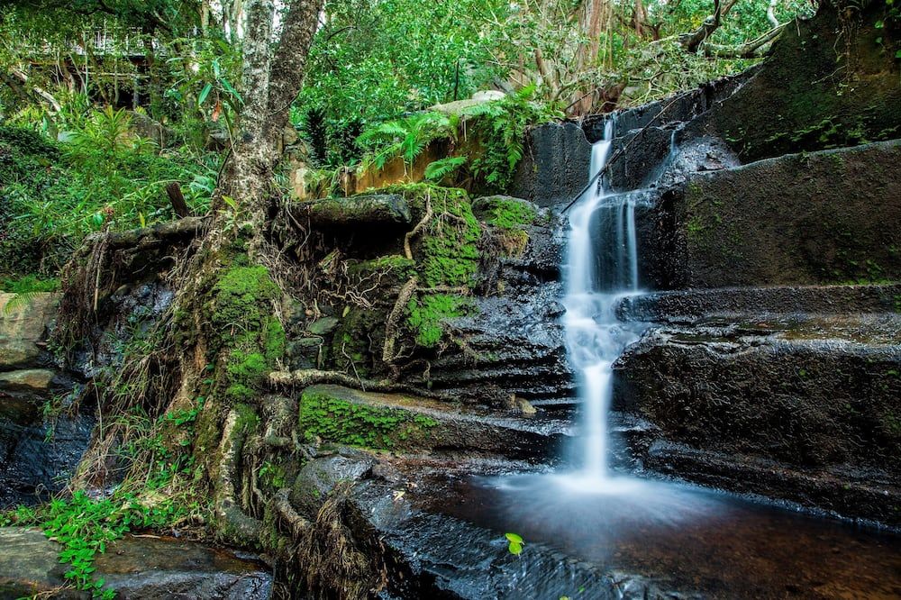المظهر الخارجي