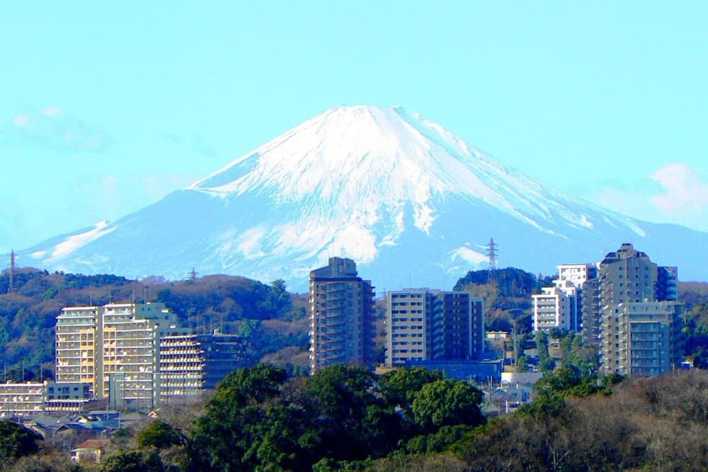المظهر الخارجي