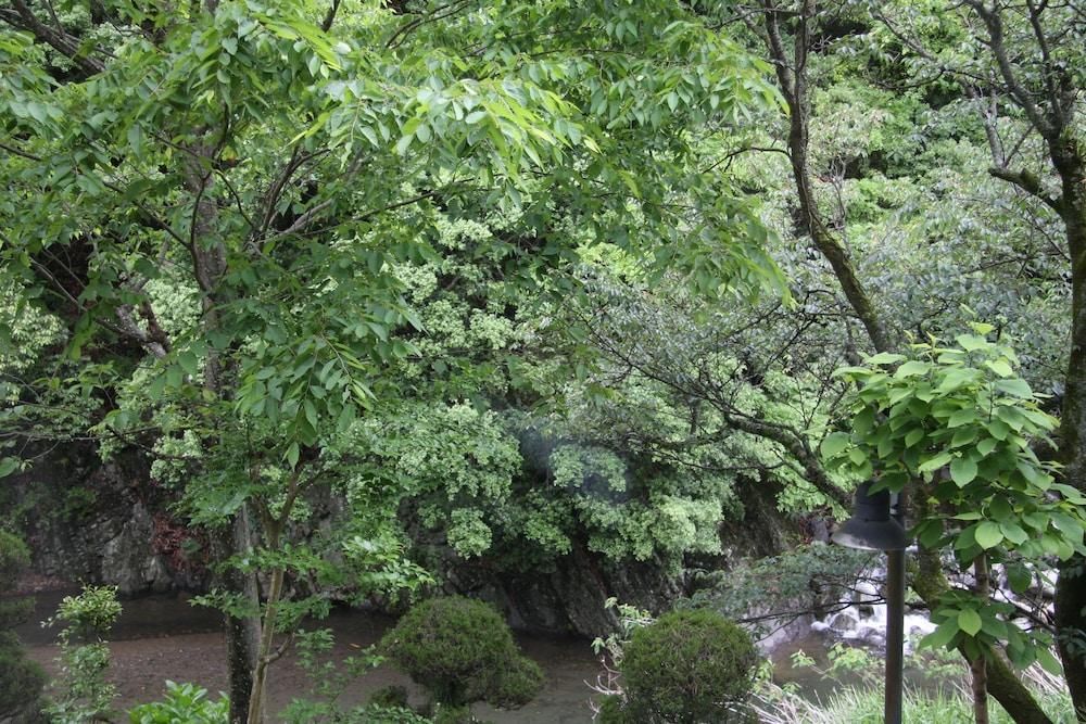 المظهر الخارجي