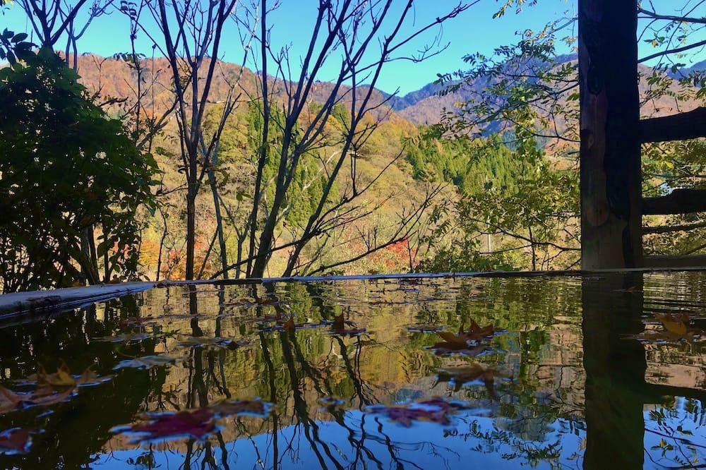 المظهر الخارجي