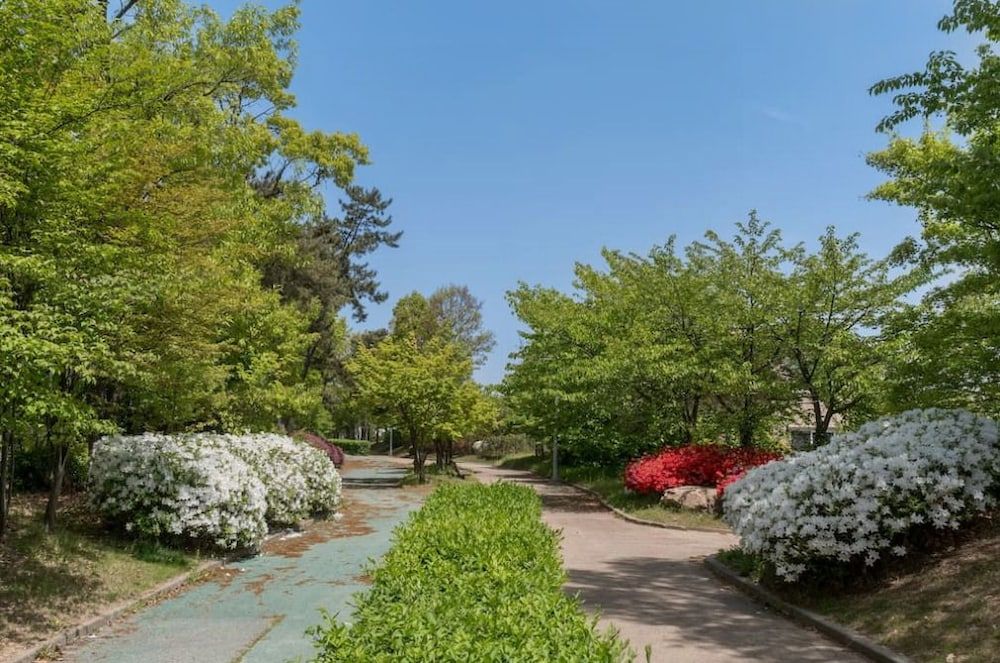 المظهر الخارجي