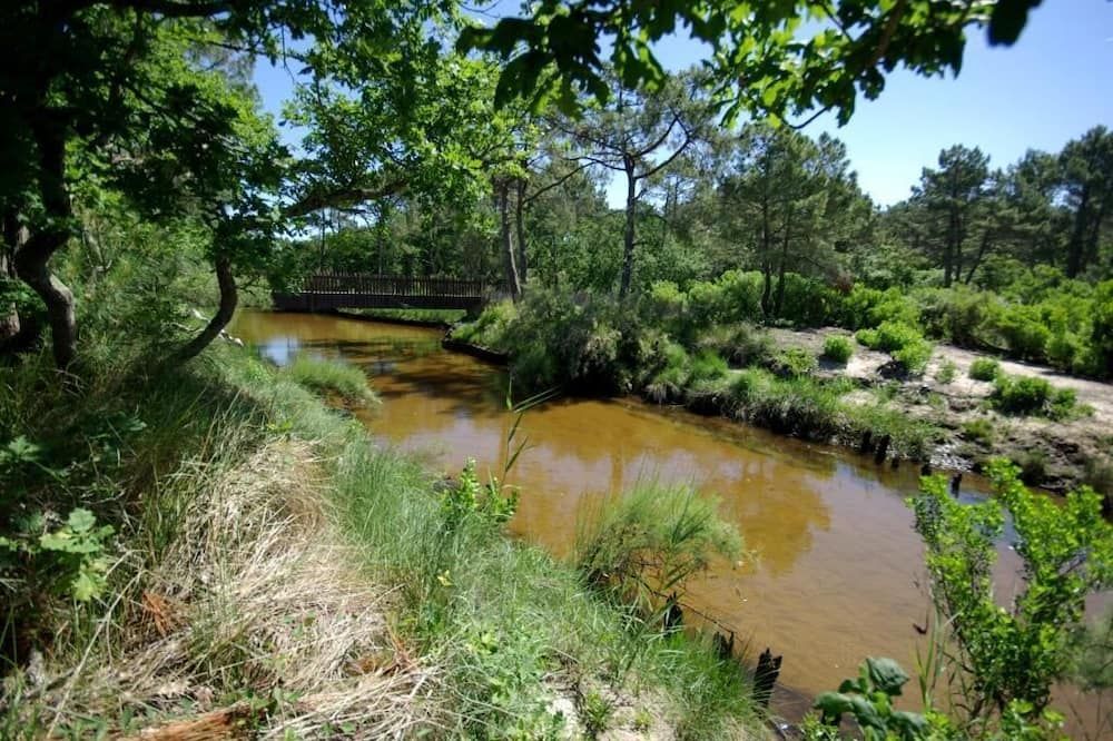 المظهر الخارجي