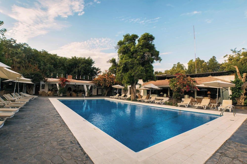 حوض السباحة صورة