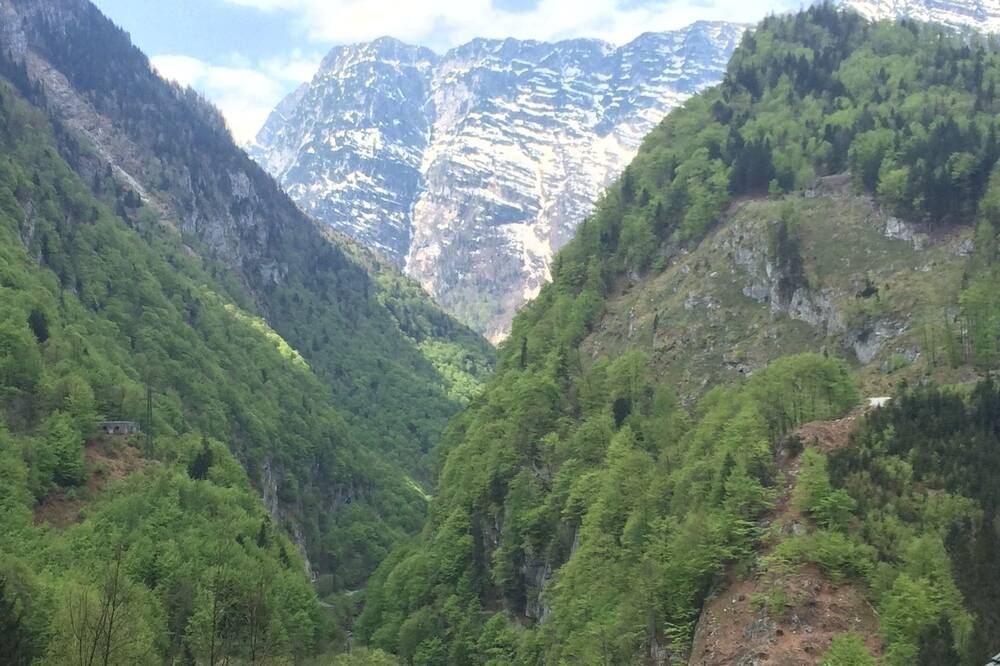 المظهر الخارجي