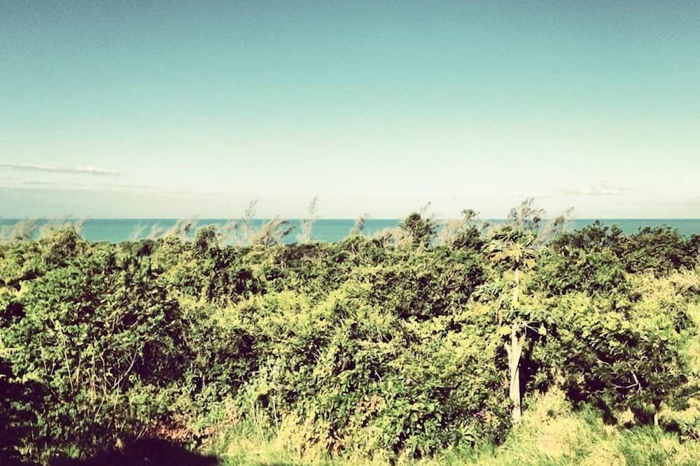 المظهر الخارجي