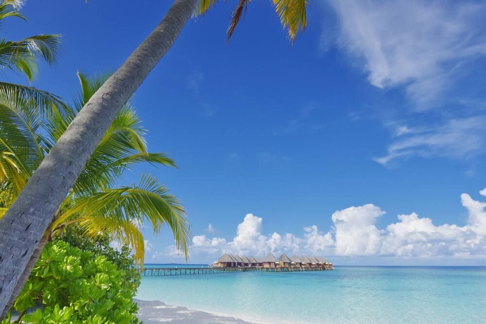 شاطئ صورة