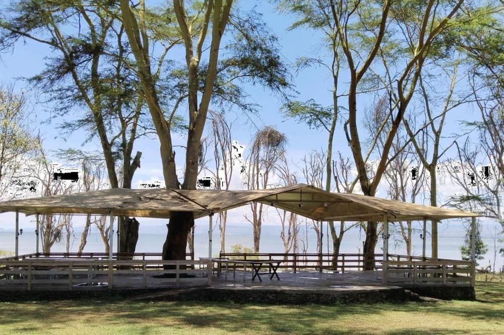 المظهر الخارجي