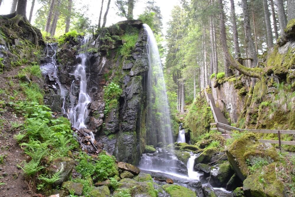 المظهر الخارجي