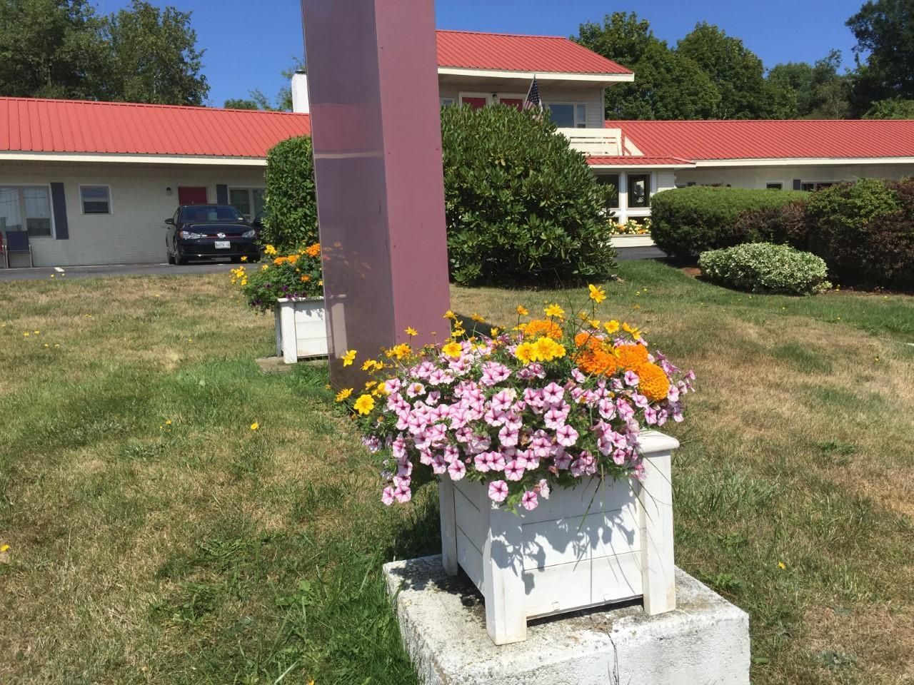 المظهر الخارجي