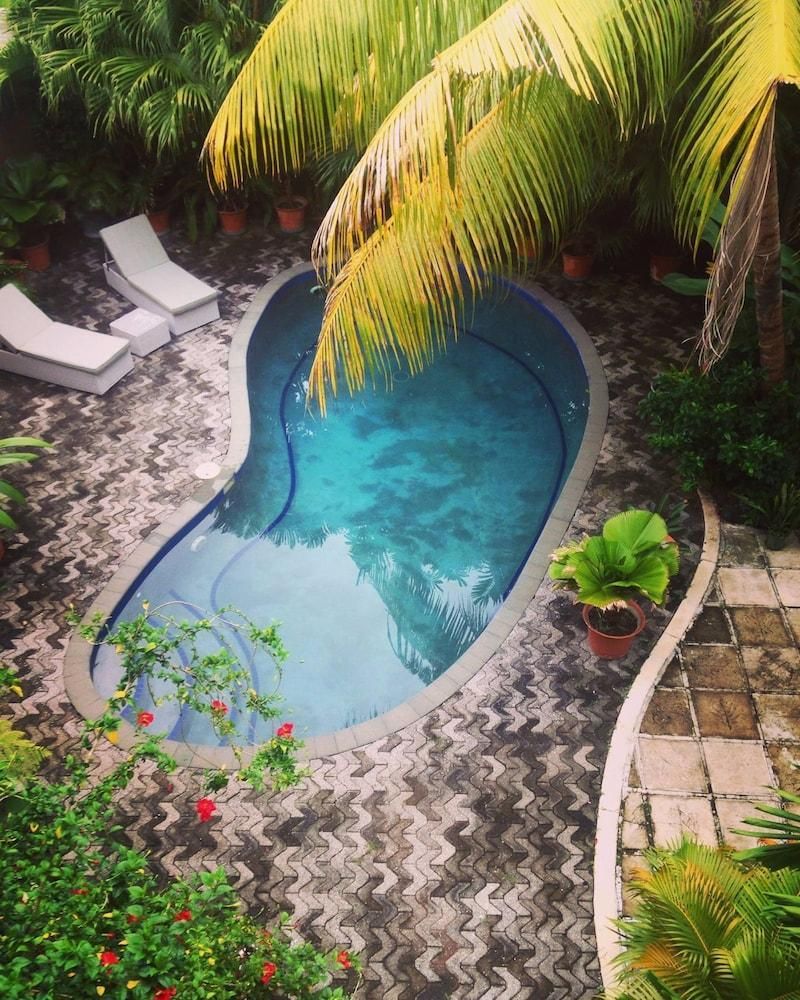 حوض السباحة صورة