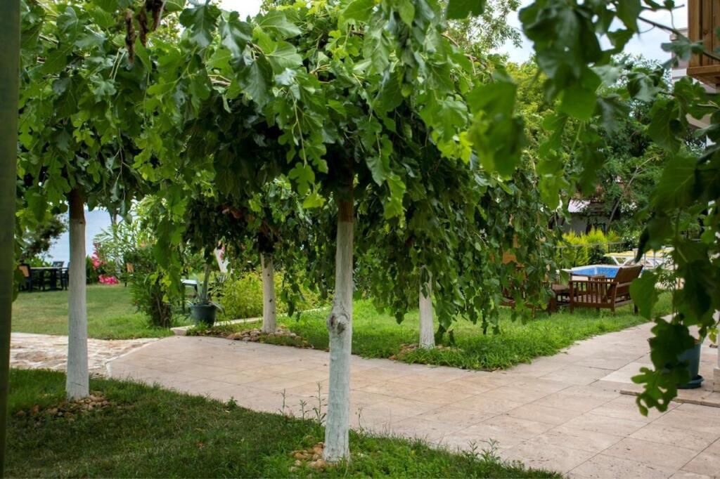 المظهر الخارجي