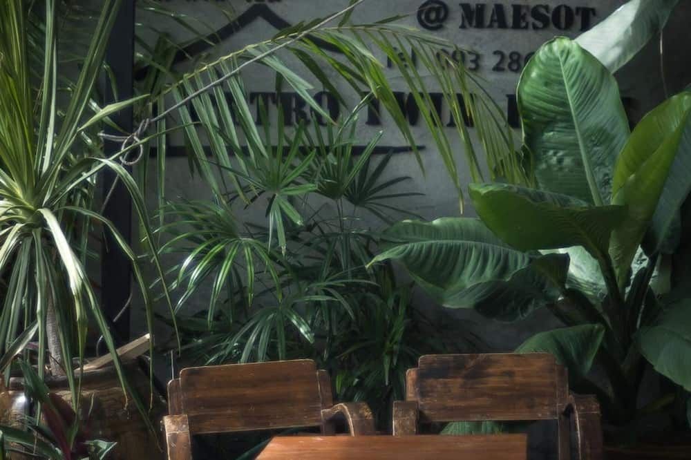 المظهر الخارجي