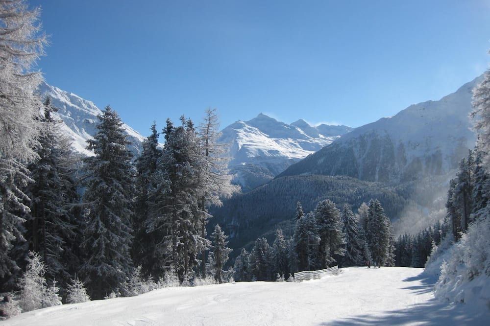 المظهر الخارجي