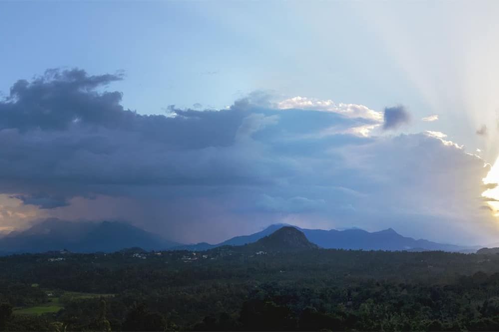 المظهر الخارجي