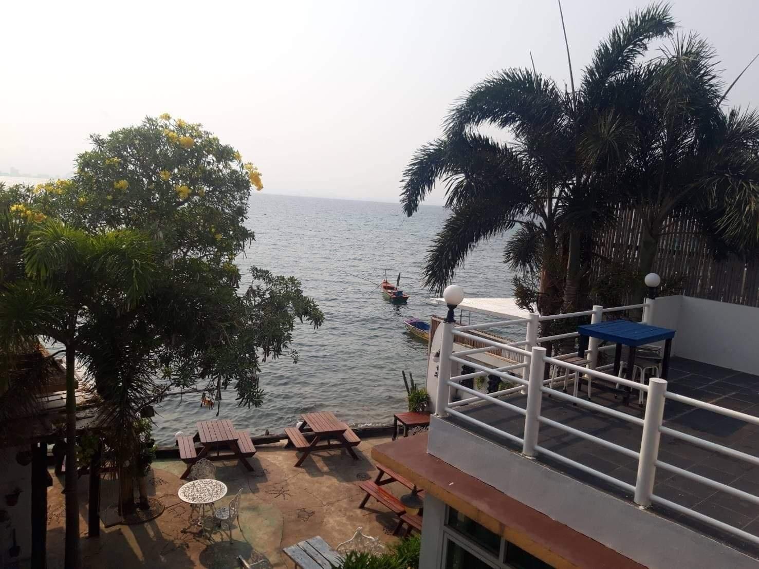 المظهر الخارجي