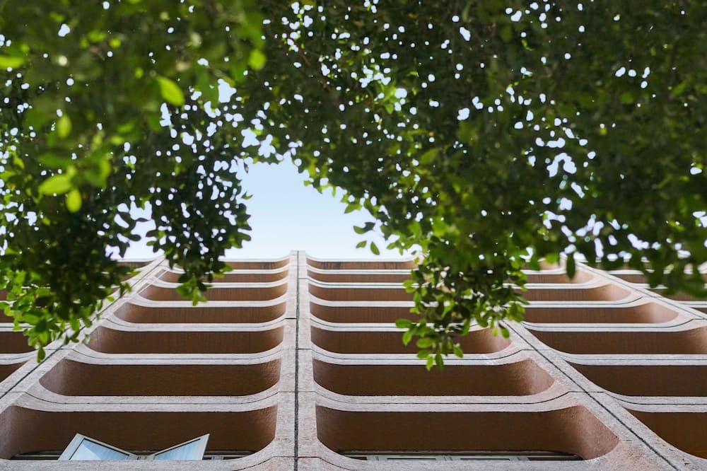 المظهر الخارجي