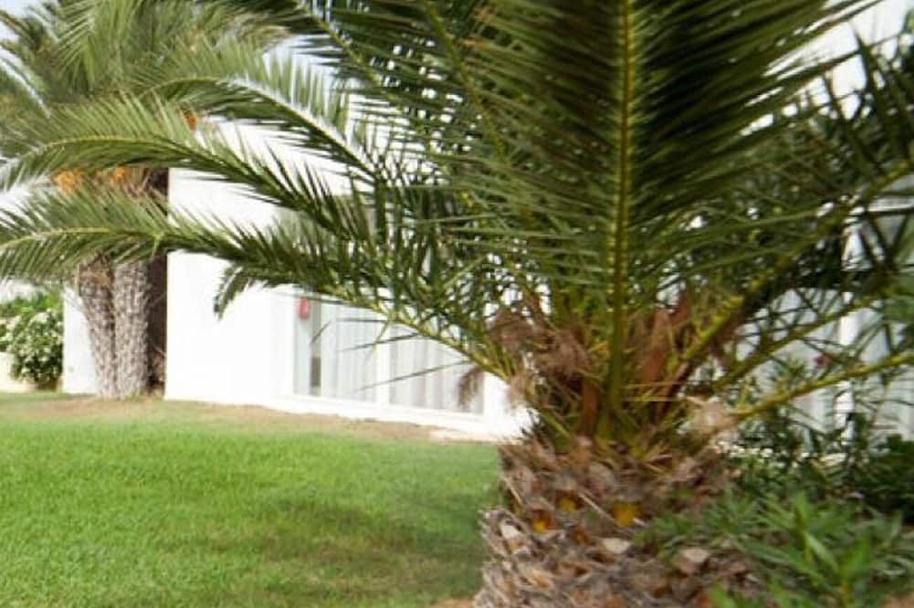 المظهر الخارجي