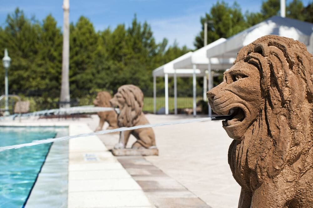 حوض السباحة